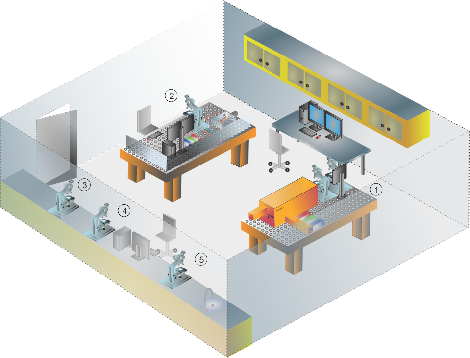 Laser Spectroscopy Labs